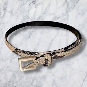 Ann Taylor Snake Print Leather Belt in Black and Cream